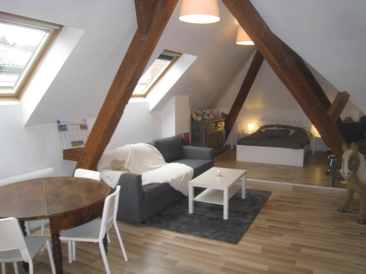 Chambres Privatives Chez L'Habitant Guebwiller Luaran gambar