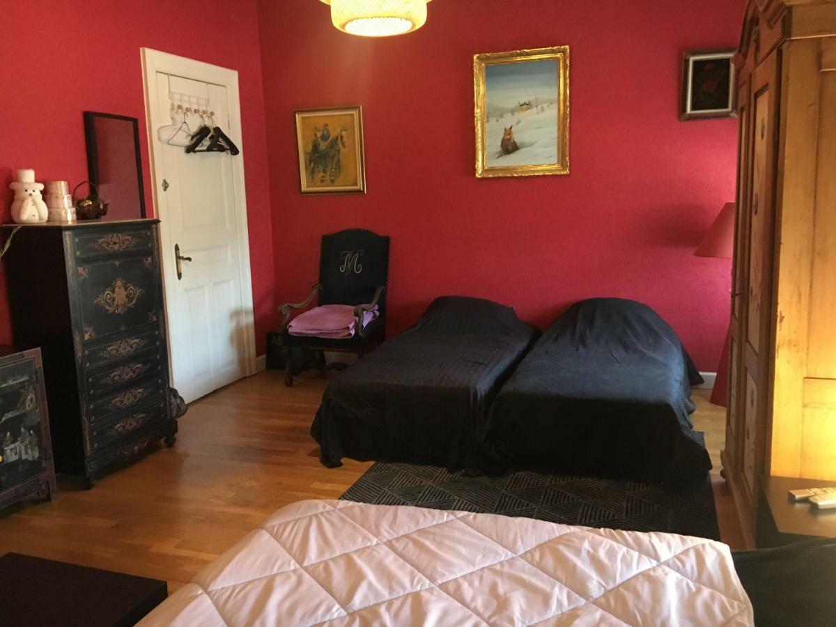 Chambres Privatives Chez L'Habitant Guebwiller Luaran gambar